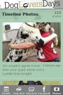 Play Dog Lovers Days