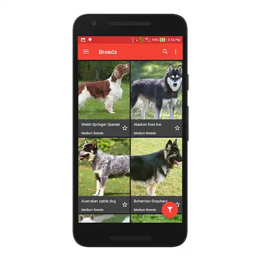 Play Dog Lovers