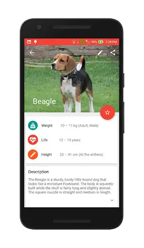 Play Dog Lovers