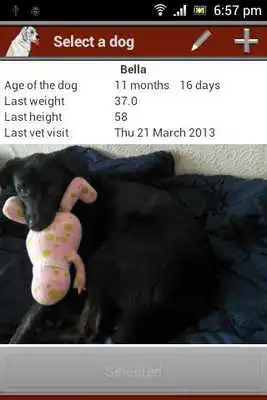 Play Dog manager