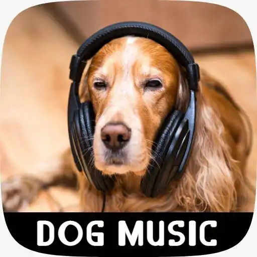 Play dog music APK