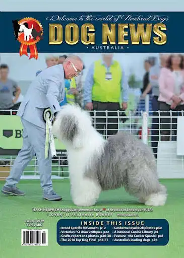 Play Dog News Australia as an online game online Dog News Australia with UptoPlay com.treeetmags.dognewsaustralia Play Dog News Australia as an online game Dog News Australia with UptoPlay