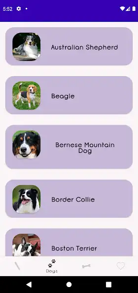 Play Dogopedia as an online game Dogopedia with UptoPlay