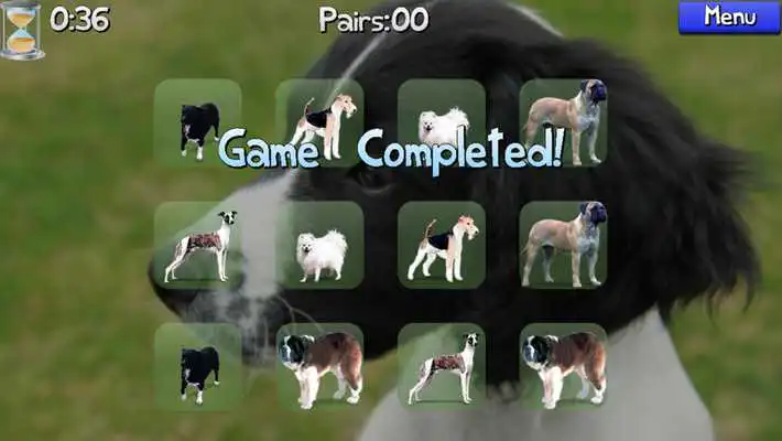 Play Dog Pairs
