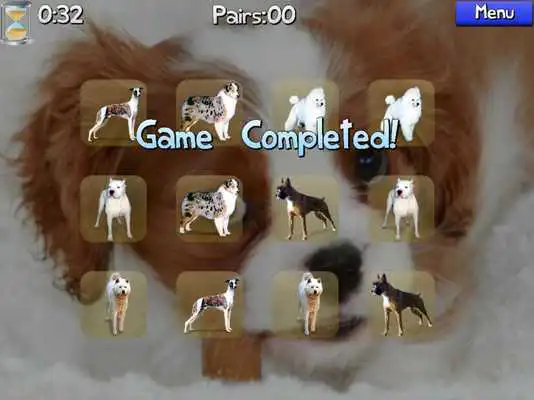 Play Dog Pairs