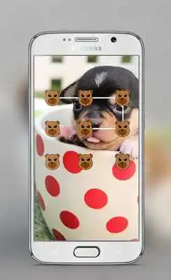 Play Dog Pattern Lock Screen Play Dog Pattern Lock Screen