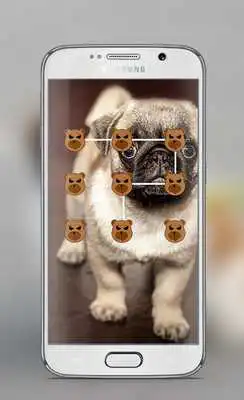 Play Dog Pattern Lock Screen Play Dog Pattern Lock Screen