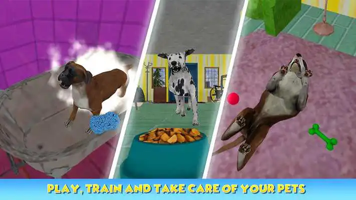 Play Dog Pet Care Salon
