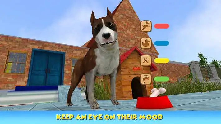 Play Dog Pet Care Salon