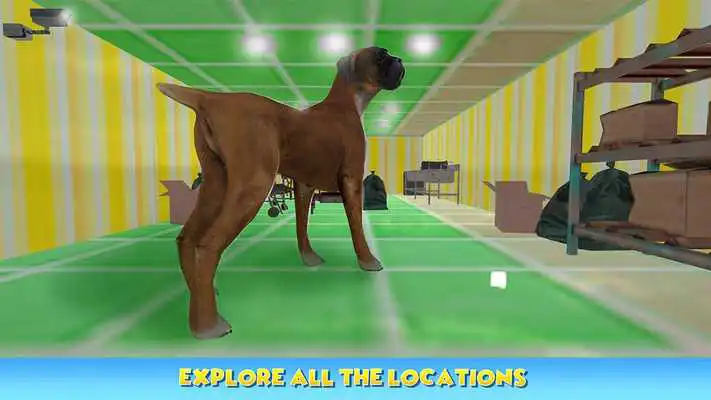 Play Dog Pet Care Salon