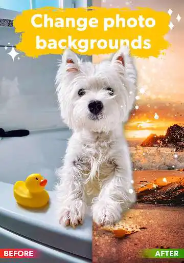 Play Dog Photo Editor as an online game Dog Photo Editor with UptoPlay