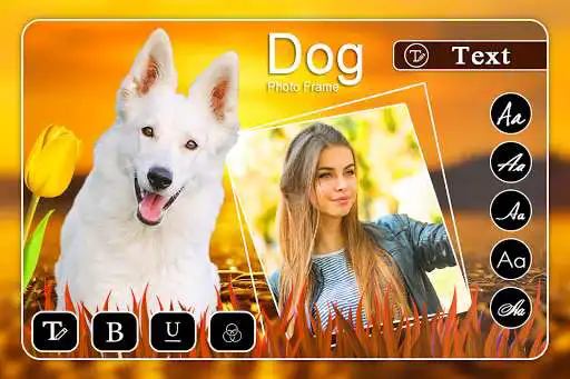 Play APK Dog Photo Frame  and enjoy Dog Photo Frame with UptoPlay com.world.photo.frame.dogphotoframe