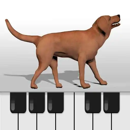 Play Dog Piano Keyboard APK Play Dog Piano Keyboard APK
