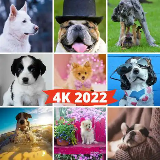 Play Dog pictures : Dogs photos APK
