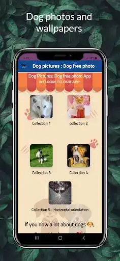 Play Dog pictures : Dogs photos as an online game Dog pictures : Dogs photos with UptoPlay