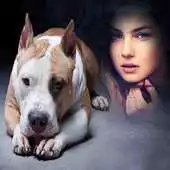 Free play online Dog puppies transparent Photo APK Free play online Dog puppies transparent Photo APK
