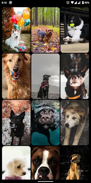 Play Dog  Puppy HD Wallpapers as an online game Dog  Puppy HD Wallpapers with UptoPlay