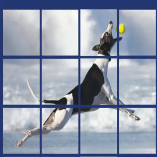 Play dog puzzle pet APK