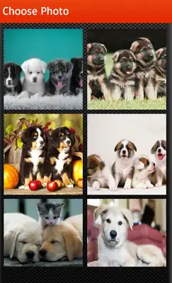 Play Dog Puzzles Game 2016