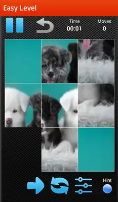 Play Dog Puzzles Game 2016