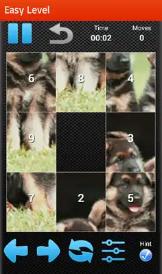 Play Dog Puzzles Game 2016