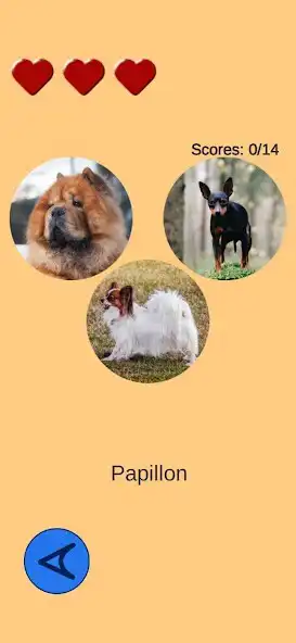Play Dog Quiz as an online game Dog Quiz with UptoPlay