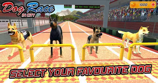 Play Dog Racing Action Game  and enjoy Dog Racing Action Game with UptoPlay