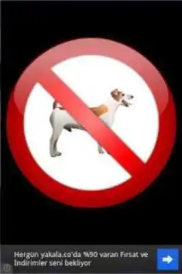 Play Dog Repellent