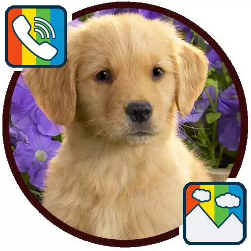 Play Dog - RINGTONES and WALLPAPERS APK Play Dog - RINGTONES and WALLPAPERS APK