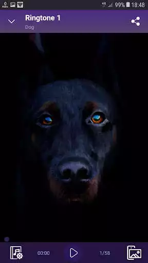 Play Dog - RINGTONES and WALLPAPERS as an online game Dog - RINGTONES and WALLPAPERS with UptoPlay