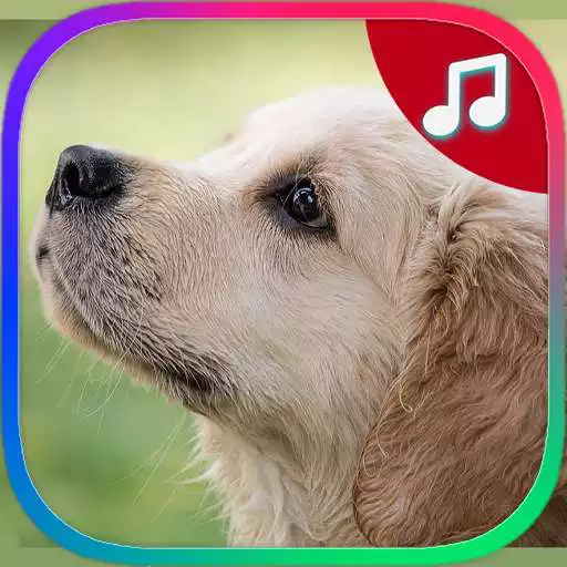 Free play online Dog Ringtones  APK