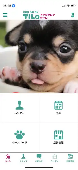 Play DOG SALON TiLo 公式アプリ and enjoy DOG SALON TiLo 公式アプリ with UptoPlay Play DOG SALON TiLo 公式アプリ and enjoy DOG SALON TiLo 公式アプリ with UptoPlay