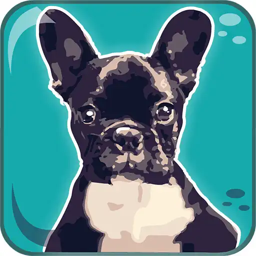 Play Dogs Breeds: Quiz APK Play Dogs Breeds: Quiz APK