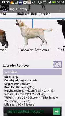 Play Dog