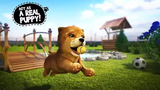 Play Dog Simulator as an online game online Dog Simulator with UptoPlay com.swiftapps.dogsimulator2015 Play Dog Simulator as an online game Dog Simulator with UptoPlay
