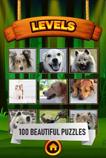 Play Dogs jigsaw puzzle game