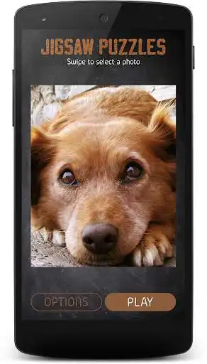 Play Dogs Jigsaw Puzzles for Kids