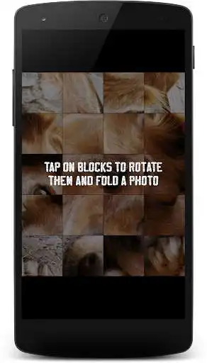 Play Dogs Jigsaw Puzzles for Kids