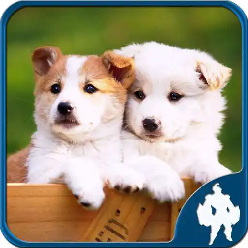 Free play online Dogs Jigsaw Puzzles APK Free play online Dogs Jigsaw Puzzles APK