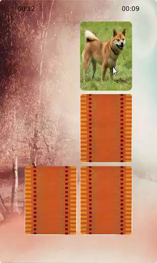 Play APK Dogs Matching and enjoy Dogs Matching with UptoPlay com.appsmor.dogmatching Play APK Dogs Matching and enjoy Dogs Matching with UptoPlay com.appsmor.dogmatching