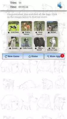 Play DOGS Match N Learn - FREE