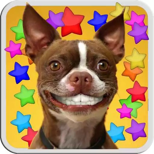Run free android online DOG SMILES LIVE WALLPAPER APK Run free android online DOG SMILES LIVE WALLPAPER APK