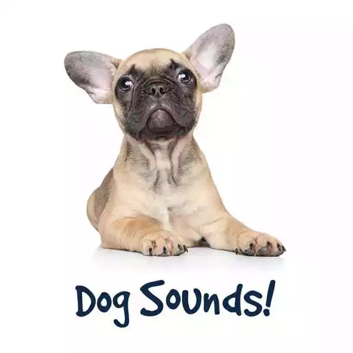 Run free android online Dog Sounds and Dog Whistle APK Run free android online Dog Sounds and Dog Whistle APK