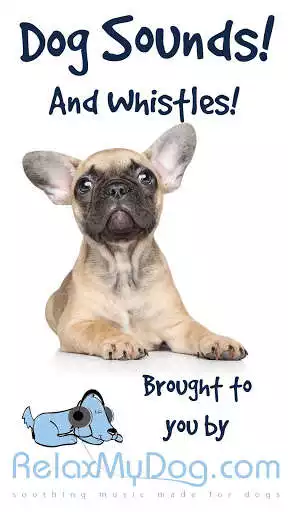 Play APK Dog Sounds and Dog Whistle  and enjoy Dog Sounds and Dog Whistle with UptoPlay com.yogesh.dogsounds