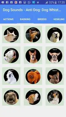 Play Dog Sounds - Anti Dog, Dog Whistle  Dog Teaser