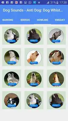 Play Dog Sounds - Anti Dog, Dog Whistle  Dog Teaser