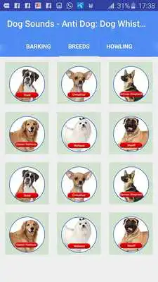 Play Dog Sounds - Anti Dog, Dog Whistle  Dog Teaser