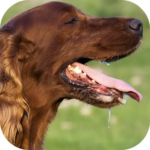 Play Dog Sounds APK Play Dog Sounds APK