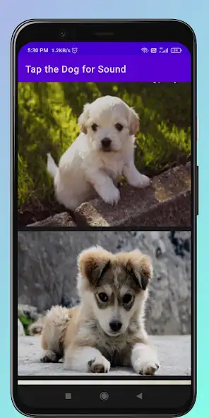 Play Dog Sounds- Prank your Friends  and enjoy Dog Sounds- Prank your Friends with UptoPlay