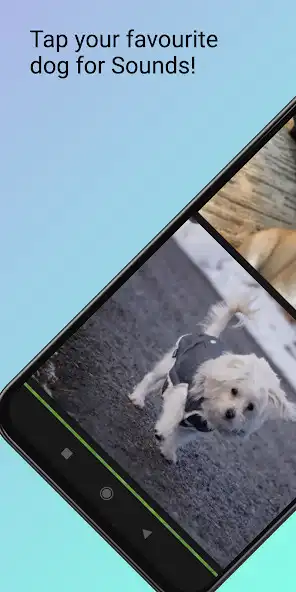 Play Dog Sounds- Prank your Friends as an online game Dog Sounds- Prank your Friends with UptoPlay